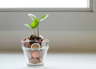 Plant met geld